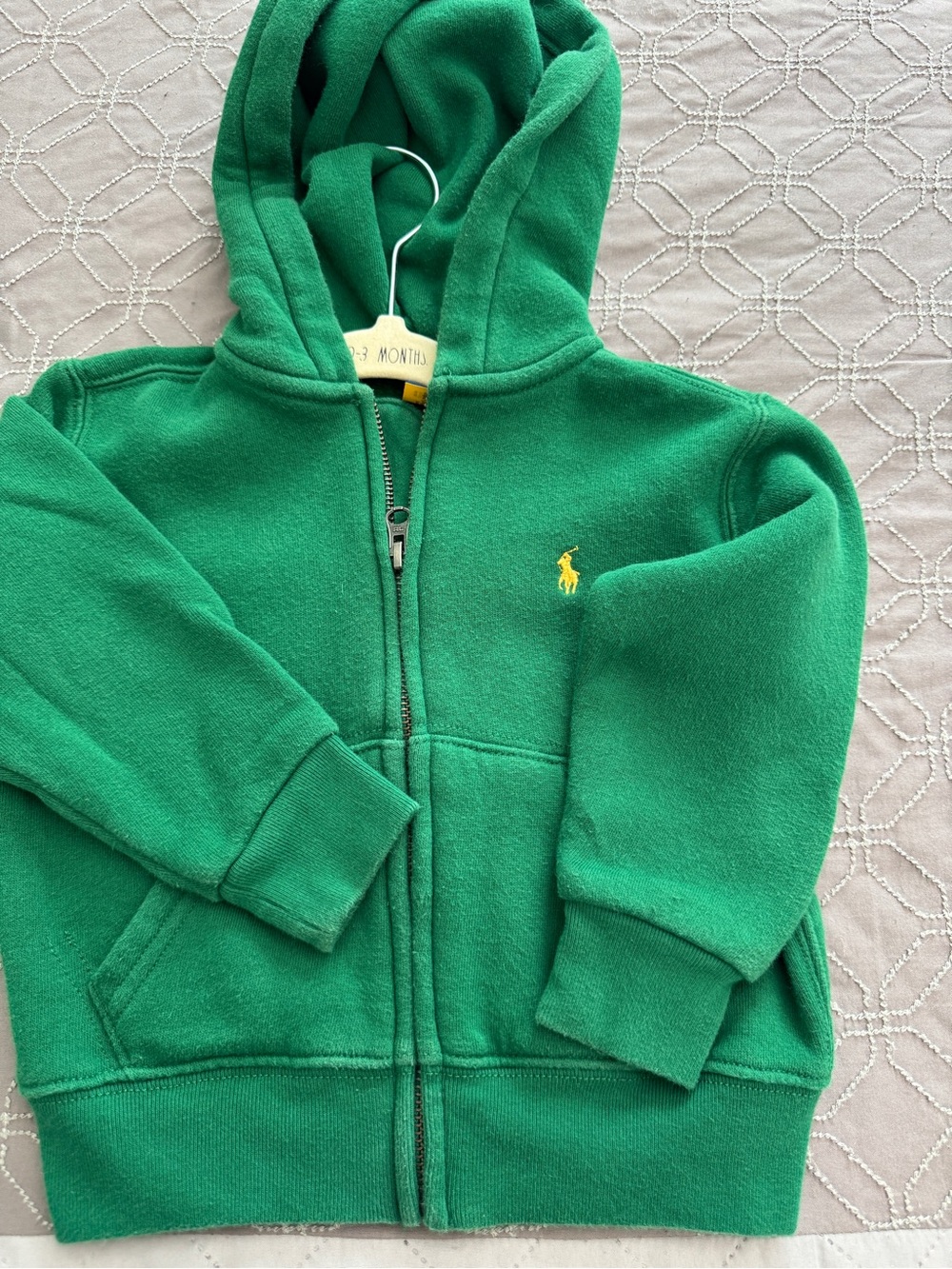 Polo by Ralph Lauren Kids Green Hooded Zip Sweatshirt with Yellow Pony